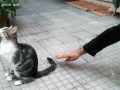 tumblr_nqg9jbShN01s2yegdo1_400.gif